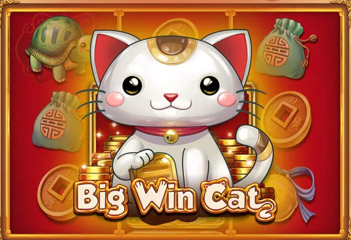 Ampia selezione di giochi su Pistolo Casino Online, inclusi slot machine, roulette e blackjack online.