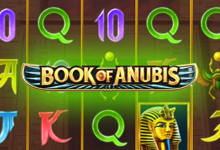 Secure and easy Pistolo Casino Games Login process.